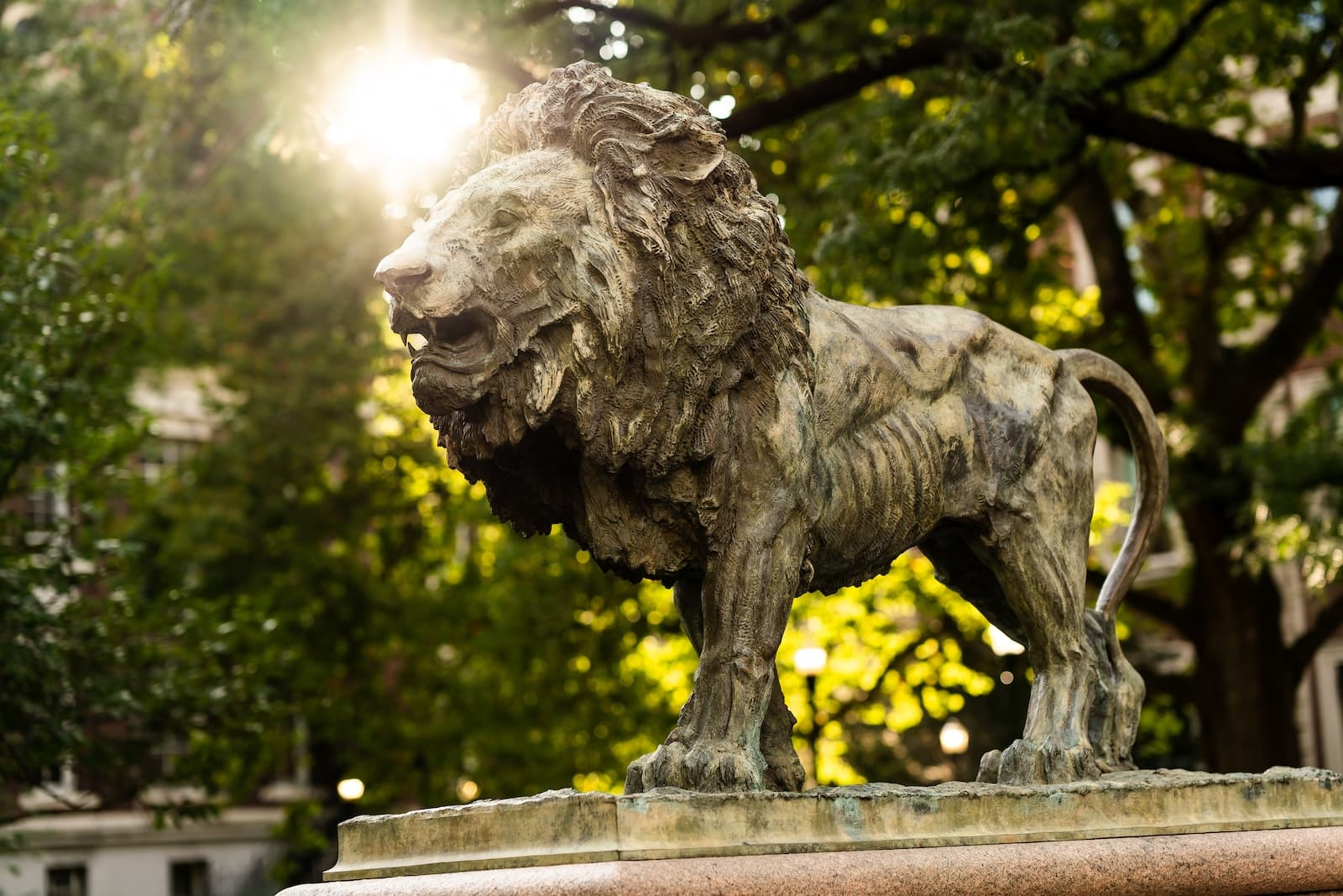 Columbia campus lion statue