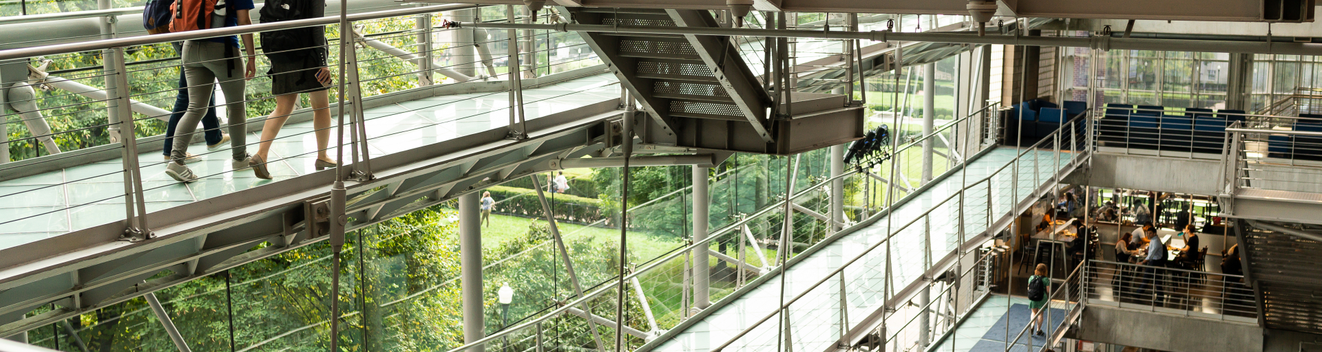 Three students travel down the walkways together. The entire side of the building is glass and greenery can be seen outside.