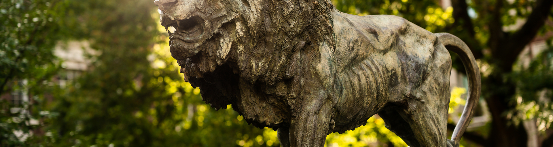 Columbia campus lion statue