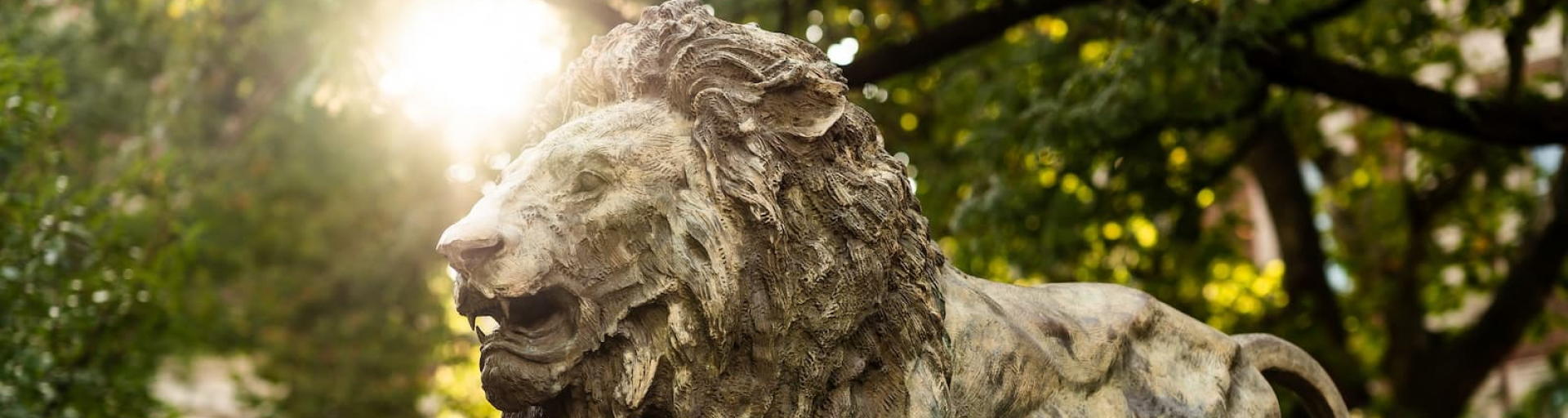 Columbia campus lion statue