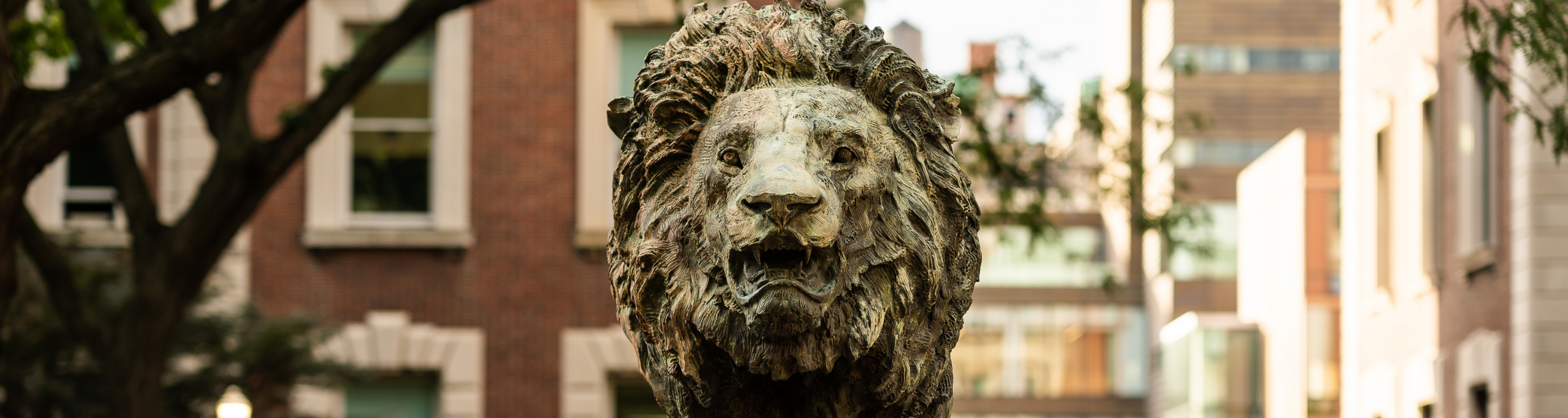 Front view of a bronze lion sculpture with campus buildings in the background.