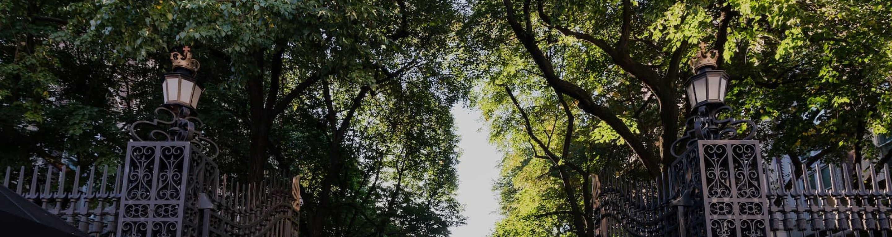 trees line College Walk on Columbia's campus beyond the open campus gates.