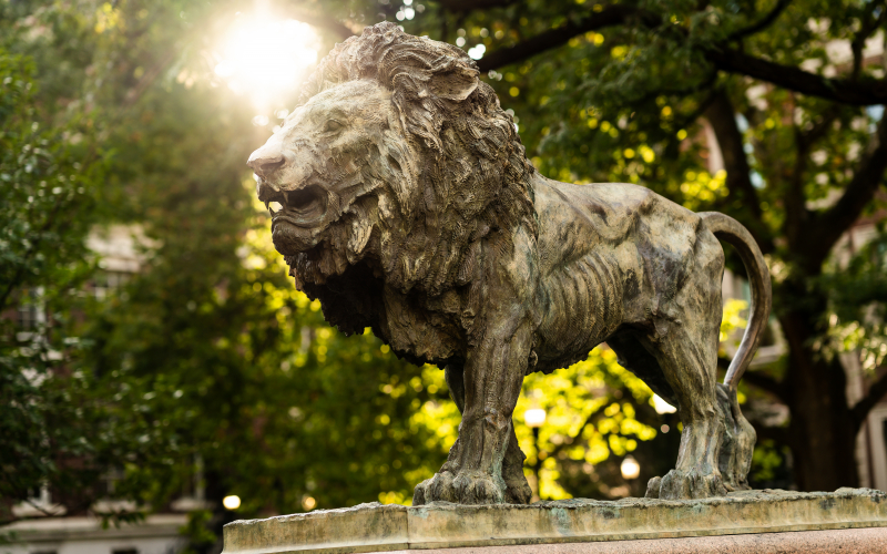 Columbia campus lion statue