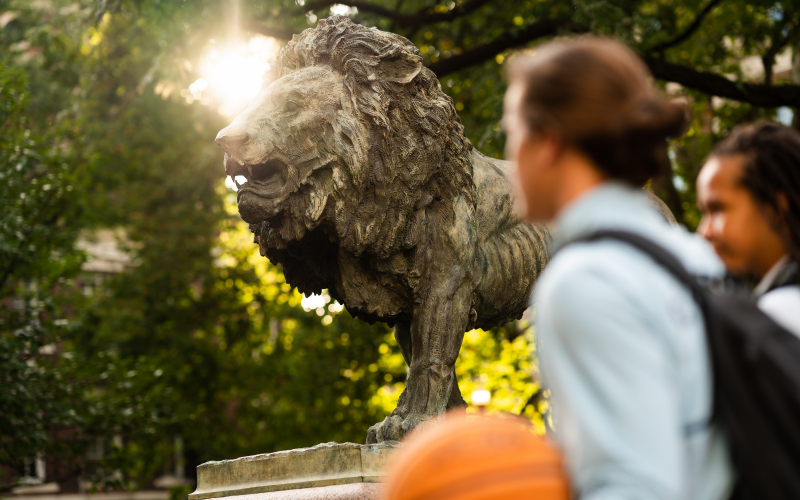 lion statue on campus