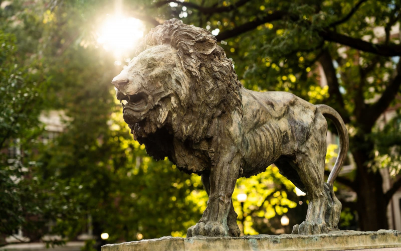 Columbia campus lion statue