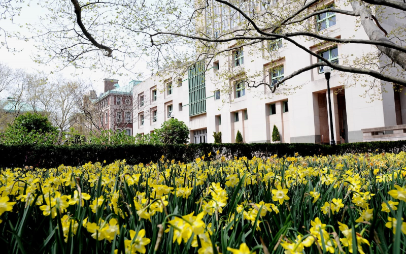 Uris Hall in the springtime