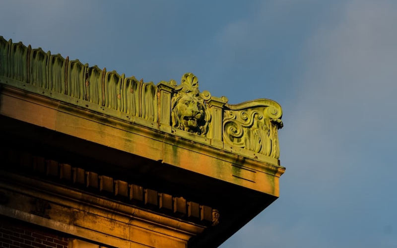 Cornice with lion from a building on campus